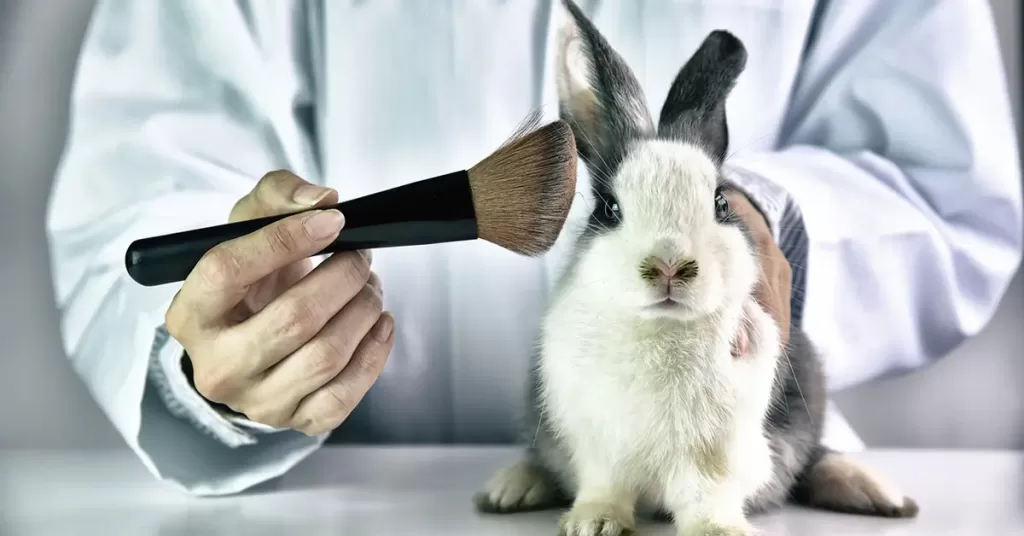 Image of a rabbit and makeup brush: cruelty-free makeup