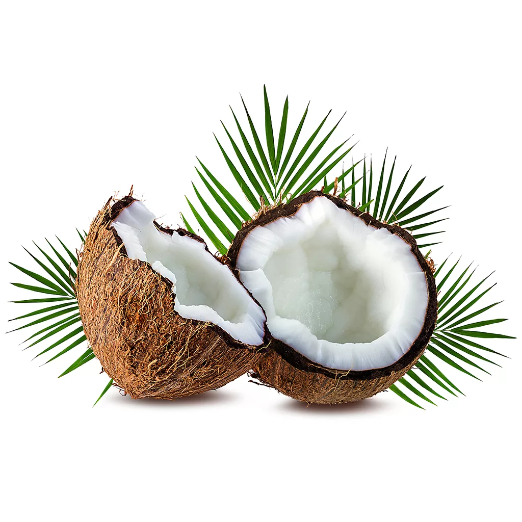 RBD Coconut Oil Benefits